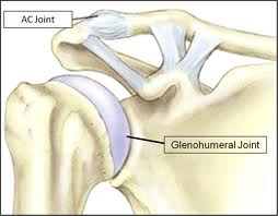 AC Joint