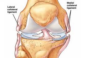 Collateral Ligament Injury